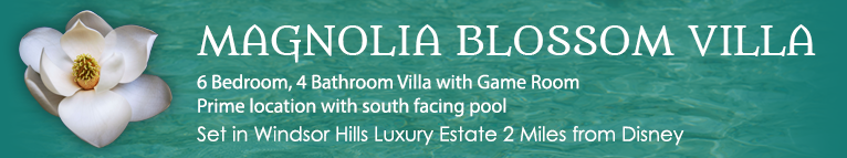 Orange Blossom Villa - 6 Bedroom, 4 Bathroom Villa with Pool, Spa and Games Room Set it in Windsor Hills Luxury Estate 2 Miles from Disney
